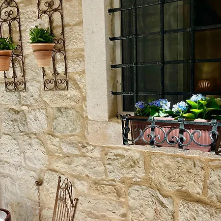 Venus Of The Palace - New Renovated Apartman