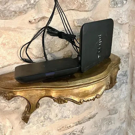 Venus Of The Split